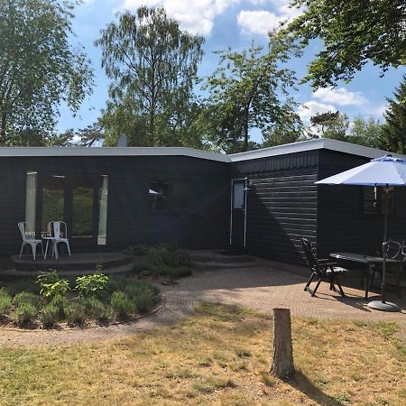 No5 Villa Krachtighuizen Eksteriør bilde